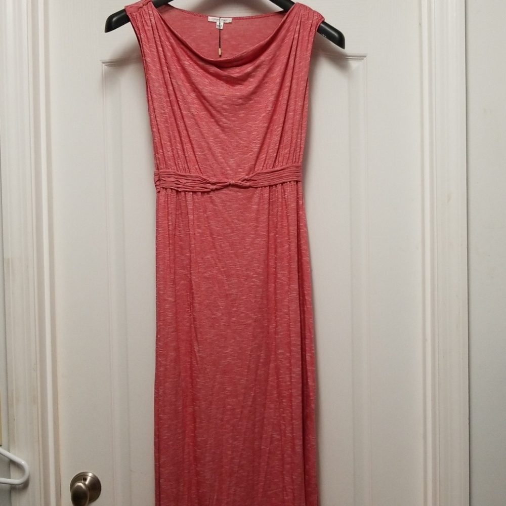 NWT Sophie Max dress